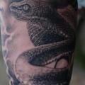 tatuaje Brazo Realista Serpiente por Matthew James