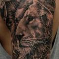 Shoulder Realistic Lion tattoo by Matthew James