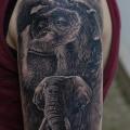 Shoulder Realistic Elephant Monkey tattoo by Matthew James