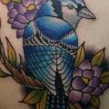 tatuaje New School Espalda Pájaro por Pat Whiting