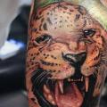 Realistic Calf Tiger tattoo by Dave Paulo