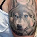 Schulter Realistische Hund tattoo von Dave Paulo
