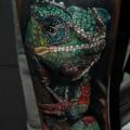 Arm Chameleon tattoo by Carlox Tattoo