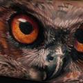Arm Realistic Eye Owl tattoo by Carlox Tattoo