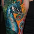 Arm Realistic Peacock tattoo by Carlox Tattoo