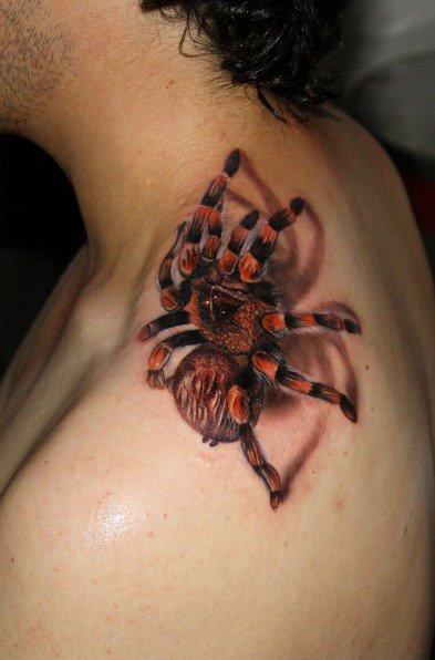 Shoulder Realistic Spider 3d Tattoo by Carlox Tattoo