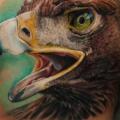 Shoulder Realistic Eagle tattoo by Carlox Tattoo