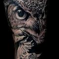 Arm Realistic Owl tattoo by Puedmag Custom Ink Tattoos
