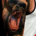 tatuaje Hombro Realista Gorila por Puedmag Custom Ink Tattoos