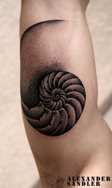 Arm Dotwork Shell Tattoo by Kipod Studio