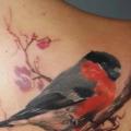 Realistische Rücken Vogel tattoo von Kipod Studio