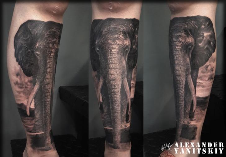 Tatuaje Realista Pierna Elefante por Kipod Studio