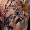 Shoulder Realistic Tiger tattoo by Kipod Studio