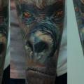 tatuaje Brazo Realista Gorila por Kwadron Tattoo Gallery