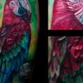 tatuaje Brazo Realista Papagayo por Kwadron Tattoo Gallery