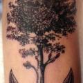 tatuaje Brazo Ancla Árbol por On Point Tattoo