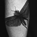 tatuaje Ternero Dotwork Insecto por Kostya Dvuhzerkalcev