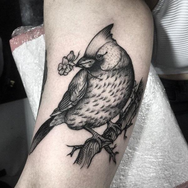 Tatuaje Brazo Pájaro por Sacred Art Tattoo