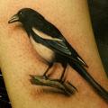 tatuaje Brazo Realista Pájaro por Sacred Art Tattoo