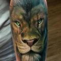 Arm Realistic Lion tattoo by Sacred Art Tattoo