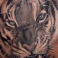 Realistic Chest Tiger tattoo by Blacksheep Ink
