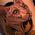 Arm Cat tattoo by Dave Wah