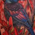 Schulter Vogel tattoo von Dave Wah
