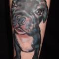Arm Realistische Hund tattoo von Silence of Art Tattoo Studio