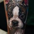 Arm Realistic Dog tattoo by Valentina Riabova
