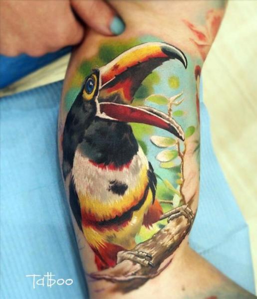 Arm Realistic Toucan Tattoo by Valentina Riabova