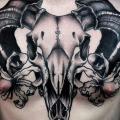Chest Skull Belly tattoo by Davidov Andrew