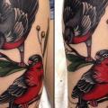 Calf Bird tattoo by Davidov Andrew