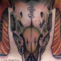 Totenkopf Nacken tattoo von Davidov Andrew