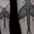 tatuaje Brazo Dotwork Insecto por Vienna Electric Tattoo
