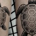 Bein Dotwork Schildkröte tattoo von Vienna Electric Tattoo