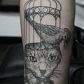 tatuaggio Braccio Gatto Uccello Gabbia di Ottorino d'Ambra