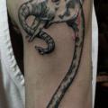 tatuaje Brazo Elefante Personaje Dotwork Ganso por Ottorino d'Ambra