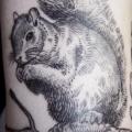 Arm Eichhörnchen tattoo von Ottorino d'Ambra