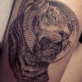 tatuaje Brazo Tigre Dotwork por Ottorino d'Ambra