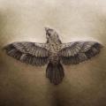 tatuaggio Schiena Uccello di Ottorino d'Ambra