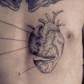 Herz Bauch Dotwork tattoo von Ottorino d'Ambra