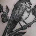 tatuaje Hombro Pájaro por Ottorino d'Ambra