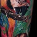 Realistic Calf Parrot tattoo by Alex de Pase