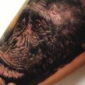 Realistische Affe Oberschenkel tattoo von Alex de Pase