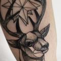 Arm Dotwork Deer tattoo by Michele Zingales