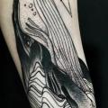 Arm Dotwork Whale tattoo by Michele Zingales