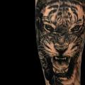 tatuaggio Braccio Realistici Tigre di Coen Mitchell