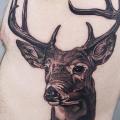 tatuaggio Realistici Fianco Cervo di Sacred Tattoo Studio