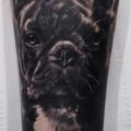 Arm Realistic Dog tattoo by Silvano Fiato