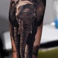 tatuaggio Braccio Realistici Elefante di Silvano Fiato